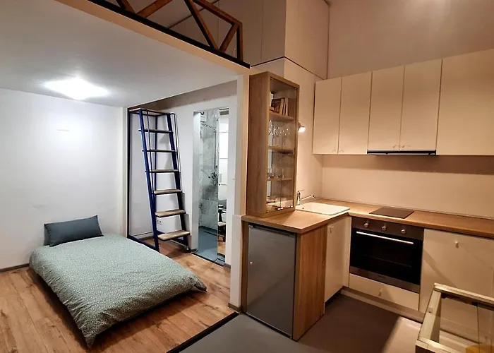 Swanhome - Cluj-Napoca